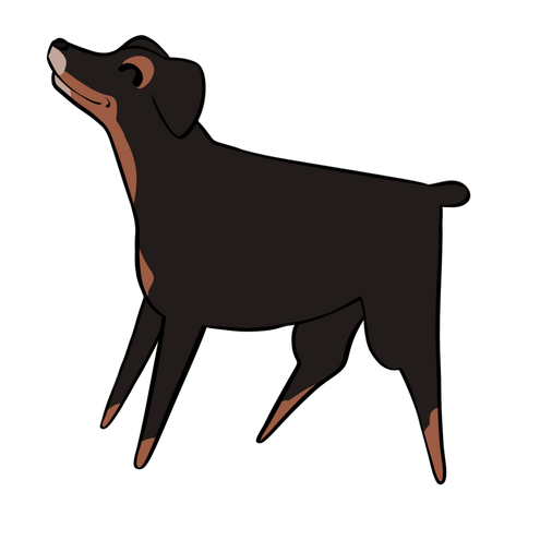 Jack (Oct 2026)